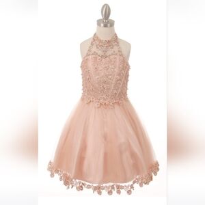 Blush Beaded Sequin Short Dress